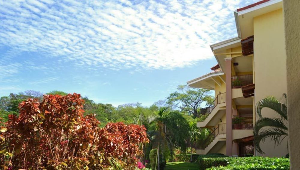 פלאיה קונצ'אל Condor Lodge מראה חיצוני תמונה